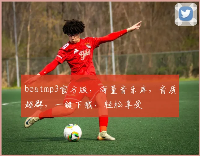 beatmp3官方版，海量音乐库，音质超群，一键下载，轻松享受