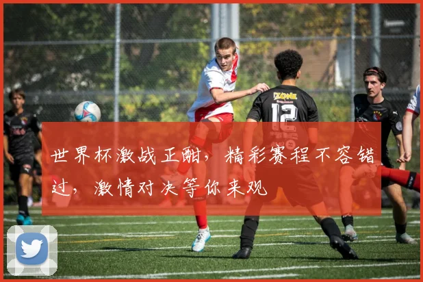 世界杯激战正酣，精彩赛程不容错过，激情对决等你来观