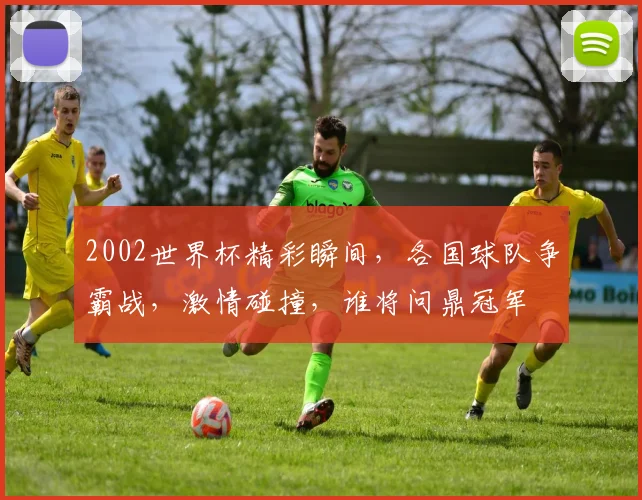 2002世界杯精彩瞬间，各国球队争霸战，激情碰撞，谁将问鼎冠军