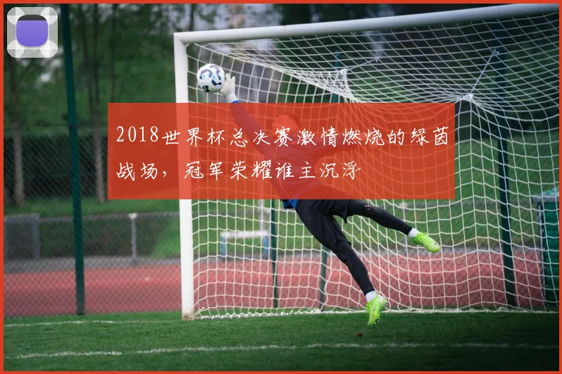 2018世界杯总决赛激情燃烧的绿茵战场，冠军荣耀谁主沉浮